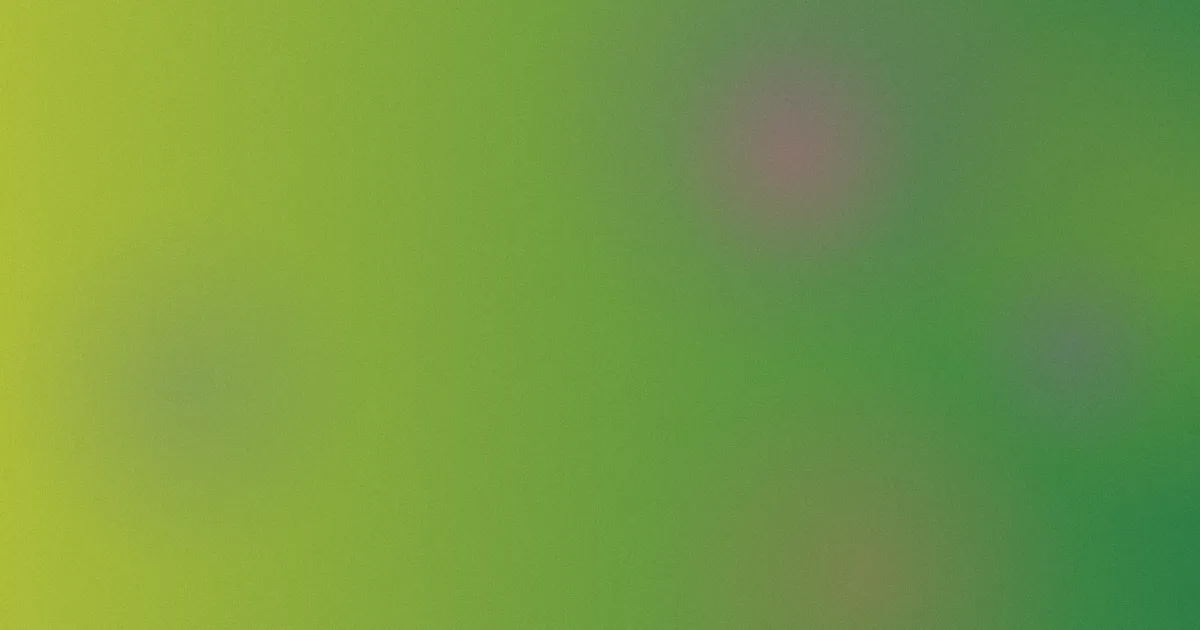 乱马真人版值得吗？按步骤判断